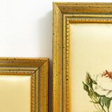 Botanical frames prévost & redouté