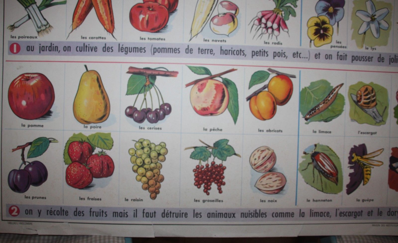 Poster school vintage MDI in the fields and garden 47 and 48