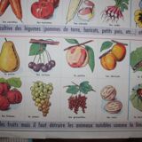 Poster school vintage MDI in the fields and garden 47 and 48