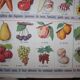 Poster school vintage MDI in the fields and garden 47 and 48