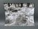 Film photography Bernard Darot Parterre of ferns 20th century