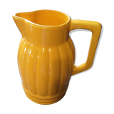 Yellow pitcher Orchies