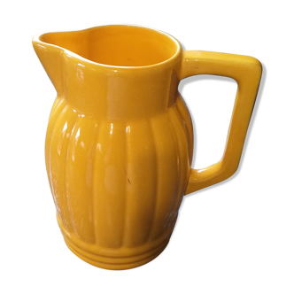 Yellow pitcher Orchies