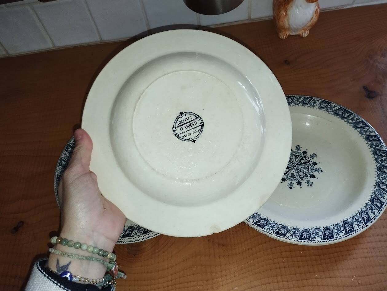 Vintage Salins "Henri II" Service – 8 Dinner Plates & 5 Soup Plates