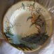 6 Assiettes à potage    Gien France Caraïbes  motif magellan