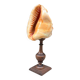 Red helmet shell conch on turned wooden base 19th century