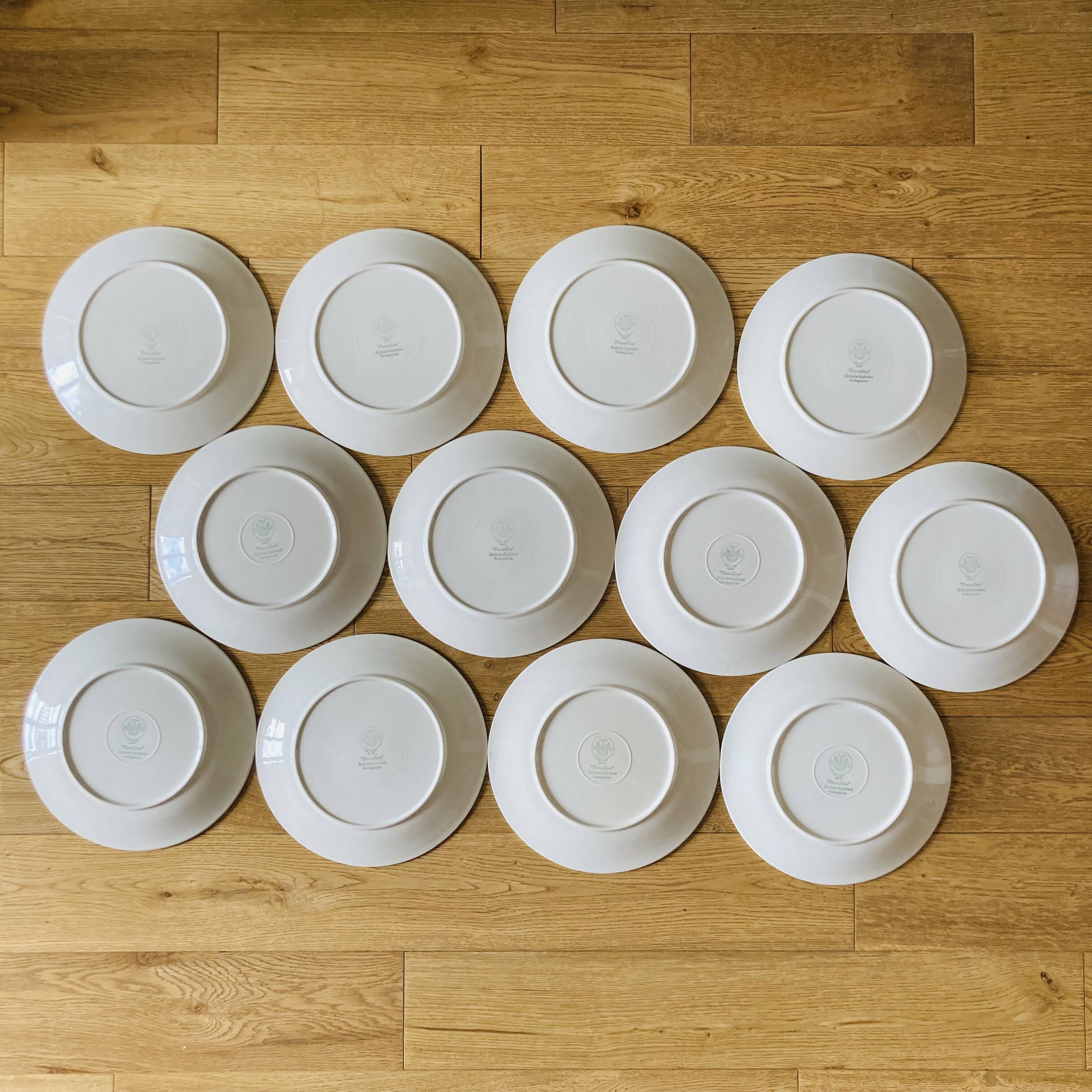 Paradiso 12 dinner plates Villeroy Boch