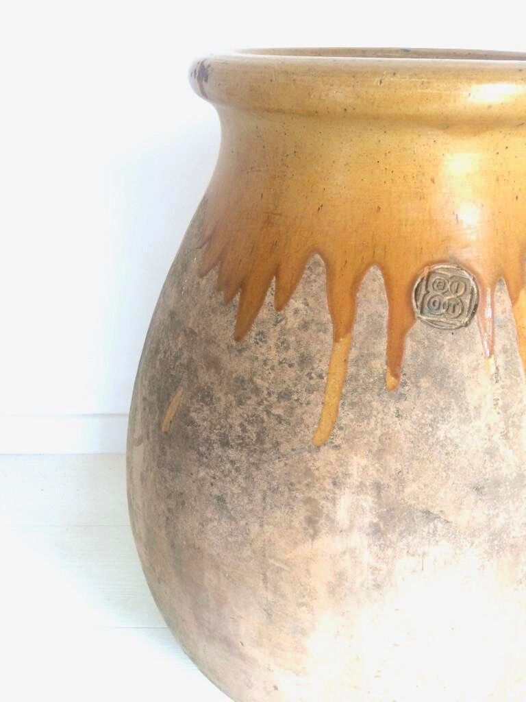Biot Jar