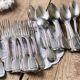 22 Chinon silver metal covers