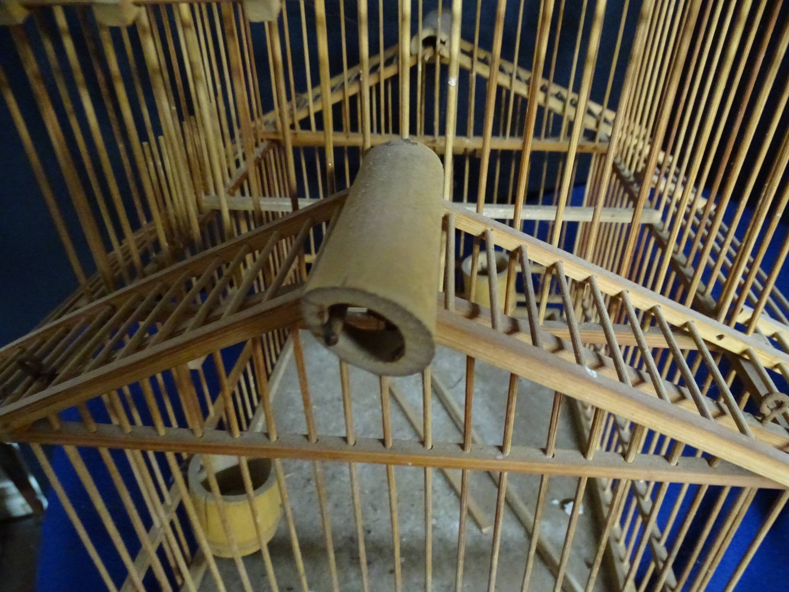 old birdcage
