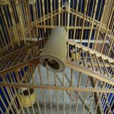 cage à oiseaux ancienne