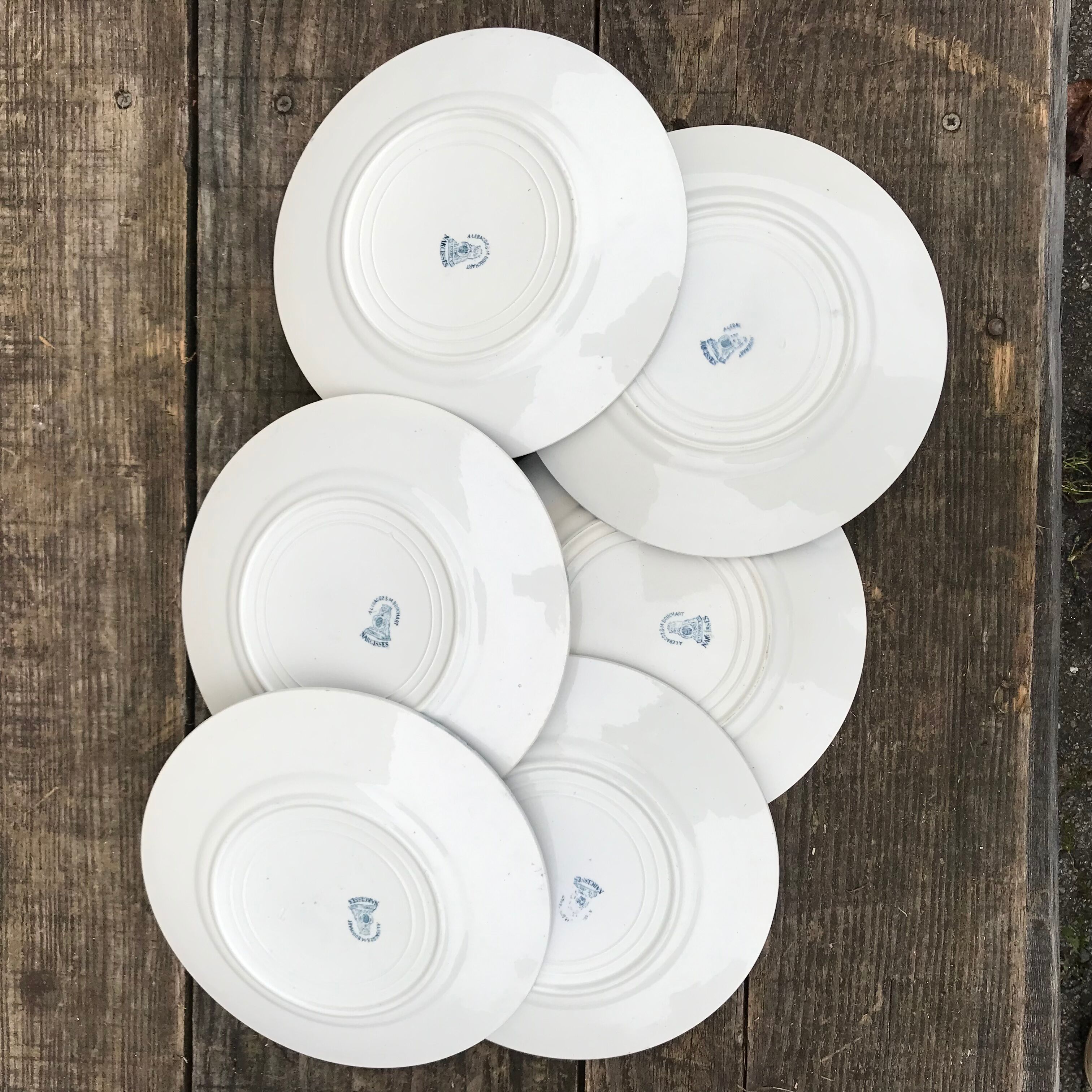 6 flat plates iron earth Narcisses StAmand