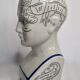 Phrenology bust after d'après L.N. Fowler