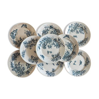 Assiettes Anciennes Badonviller