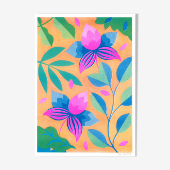 Illustration A4, Orchids, in risography