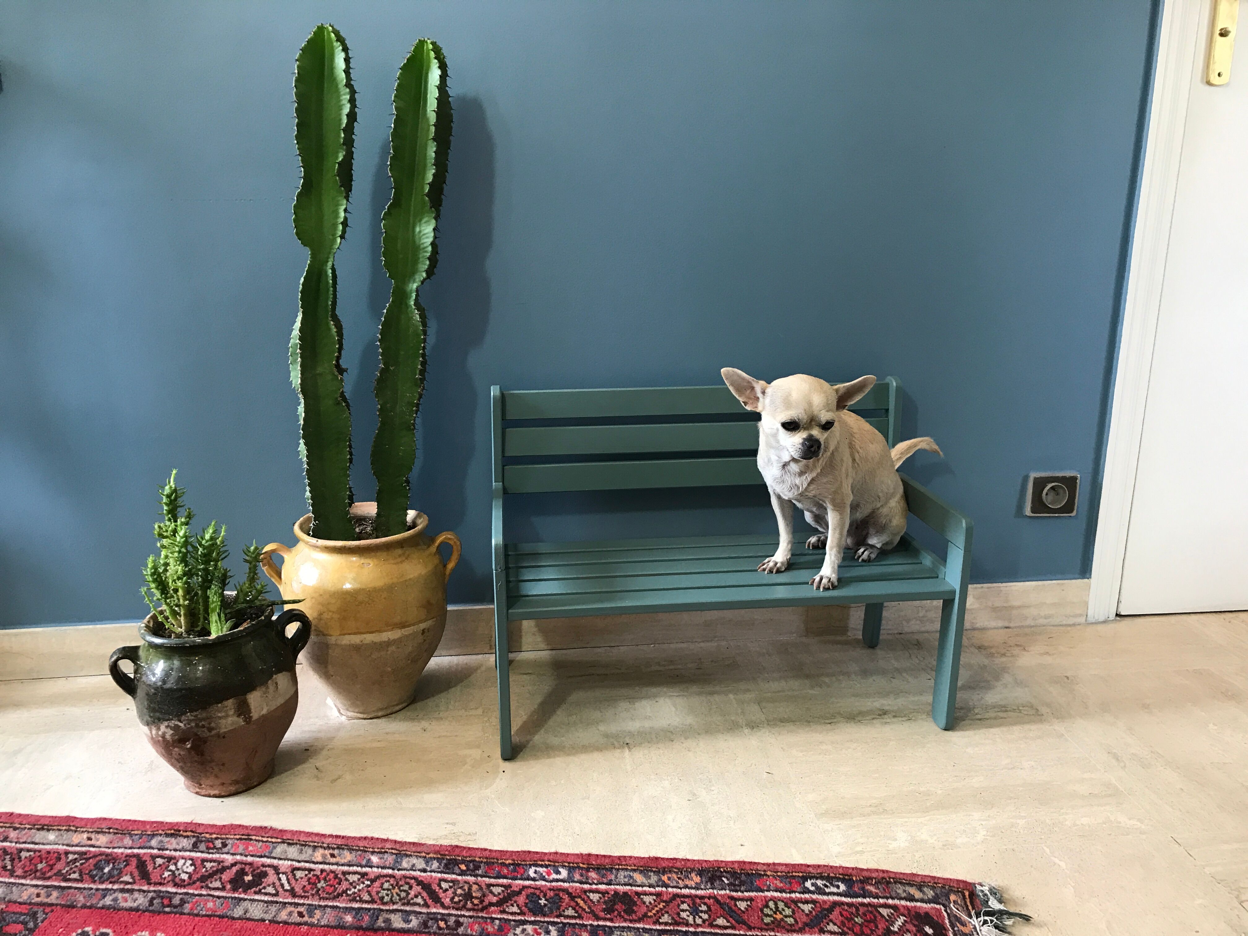 Slatted bench bluish green for children