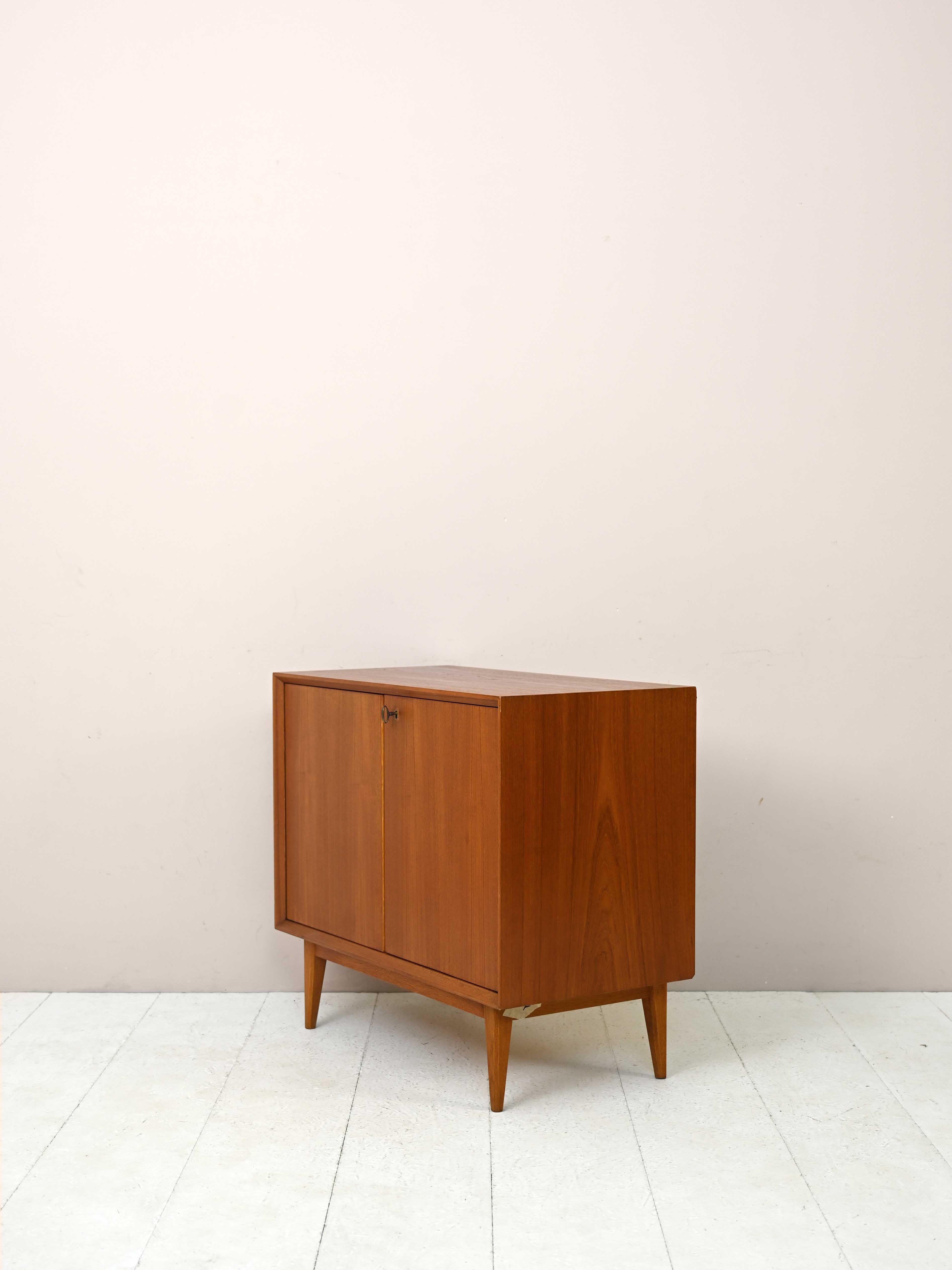 1960s teak cabinet with hinged doors