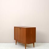 1960s teak cabinet with hinged doors