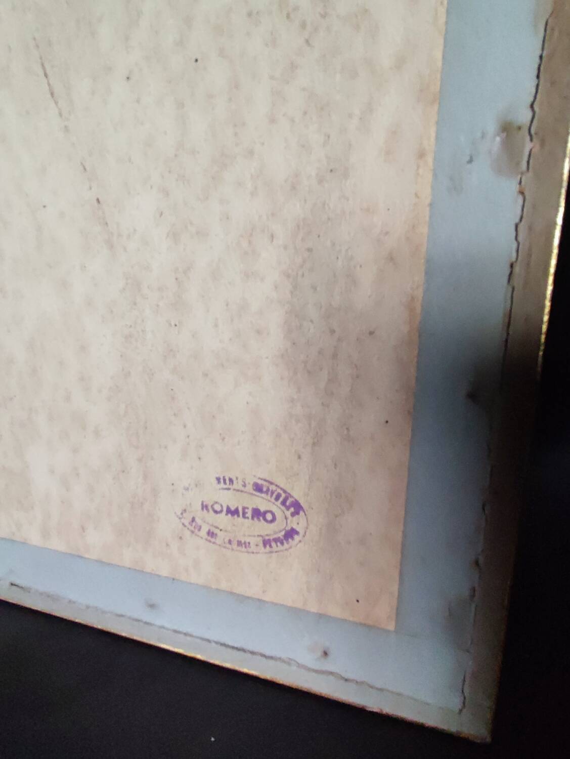 Colorized engraving, Loriot Jonquille, 19th century