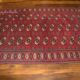 Tapis turkmene boukhara royal ancien 1950 - 152x232cm