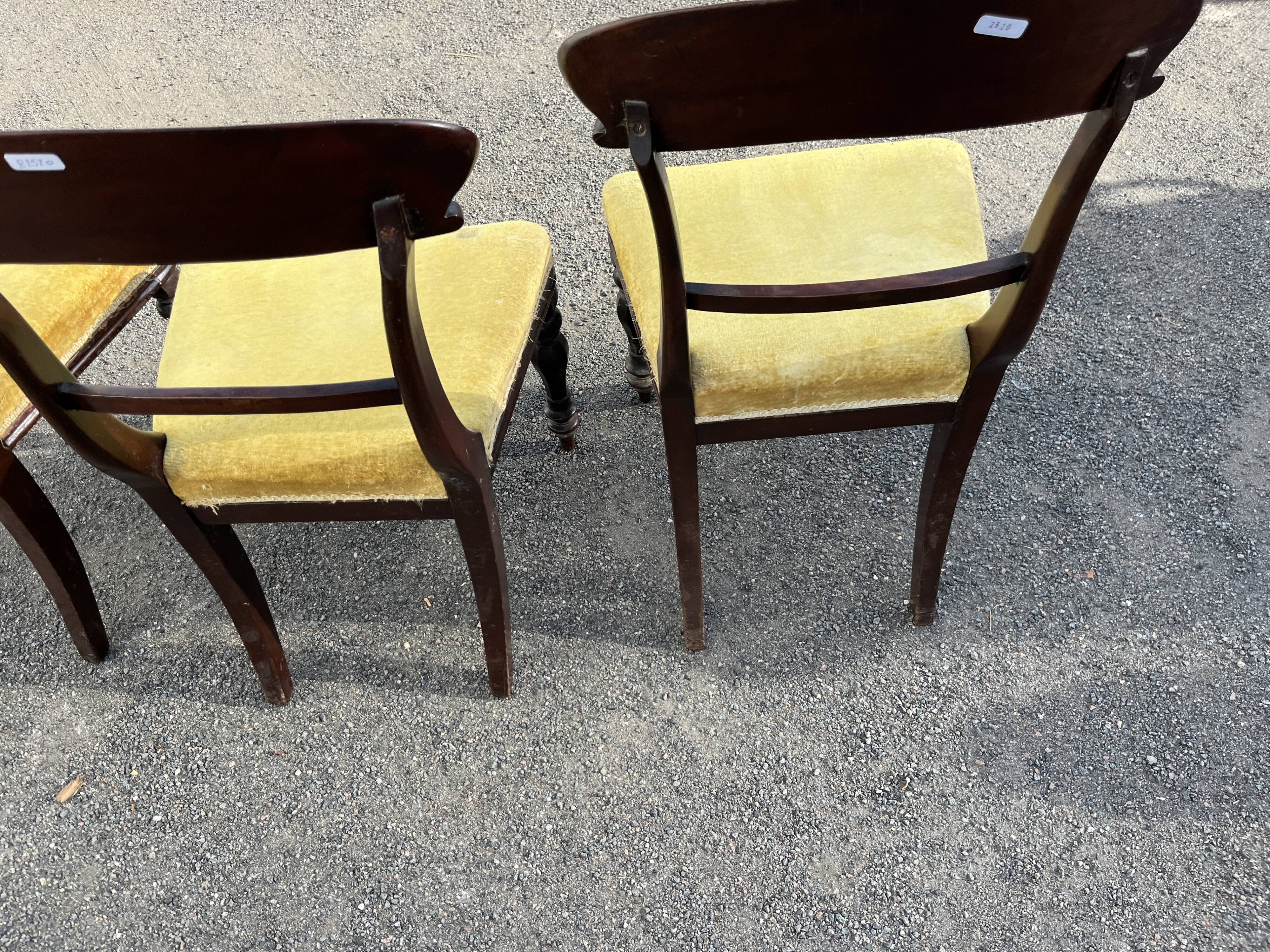 Lot de 3 chaises style victorien – acajou – assise velours jaune