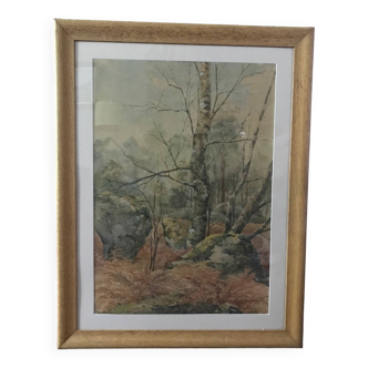 Lyartineau: In the forest of Fontainebleau, watercolor