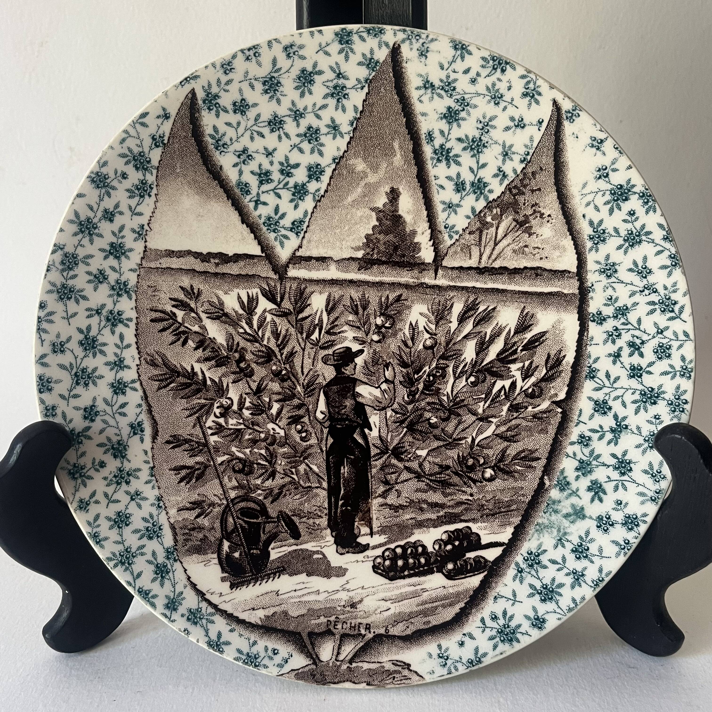 6 assiettes décoratives Sarreguemines - Arbres fruitiers