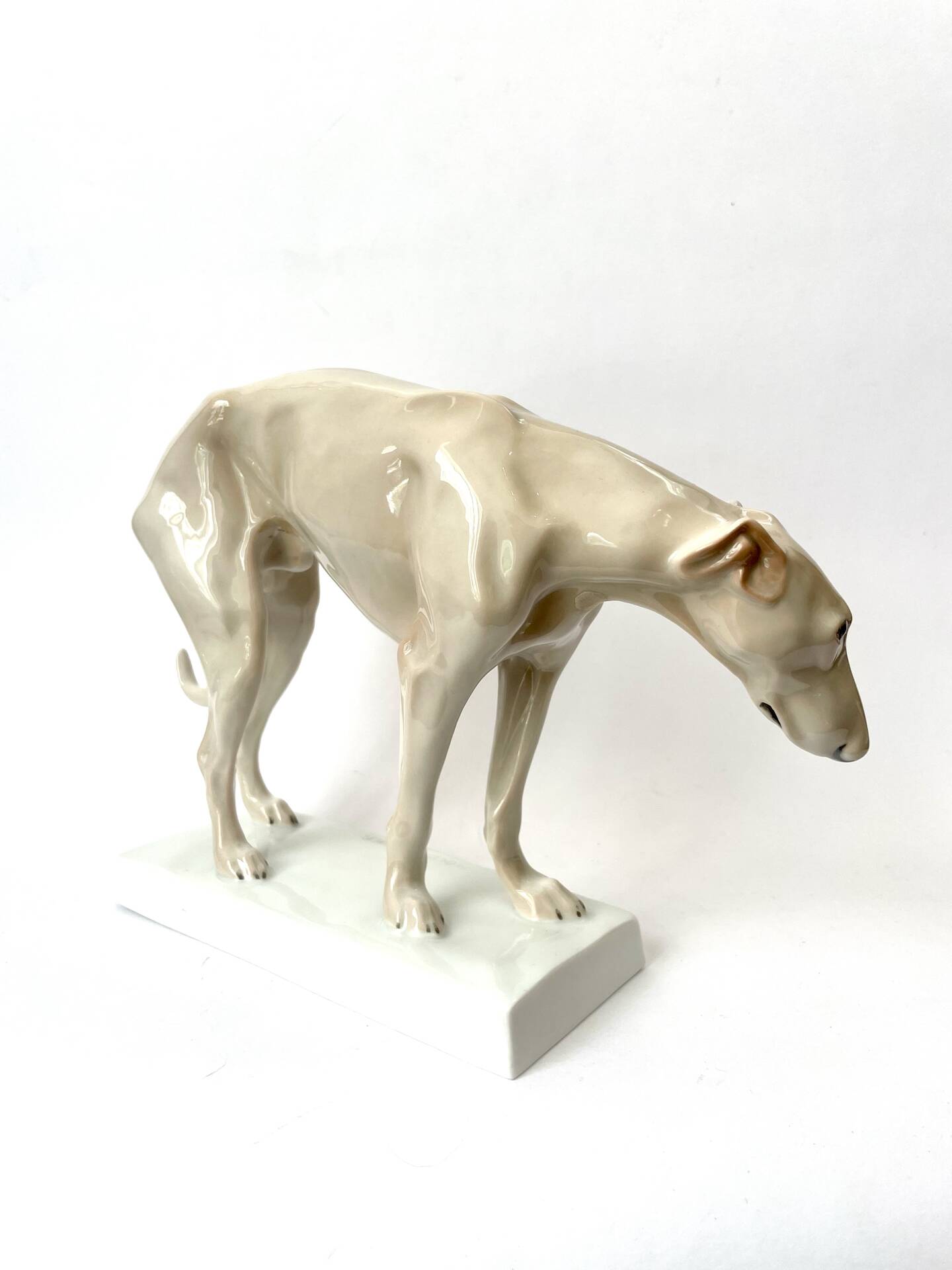 Lévrier par Dorothea Moldenhauer, Rosenthal, 1920