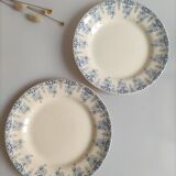 Ensemble de 2 assiettes terre de fer