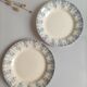 Set of 2 iron earth plates