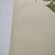 Botanical lithograph from 1897 - Vicia Oroboides - Print by E. Godard