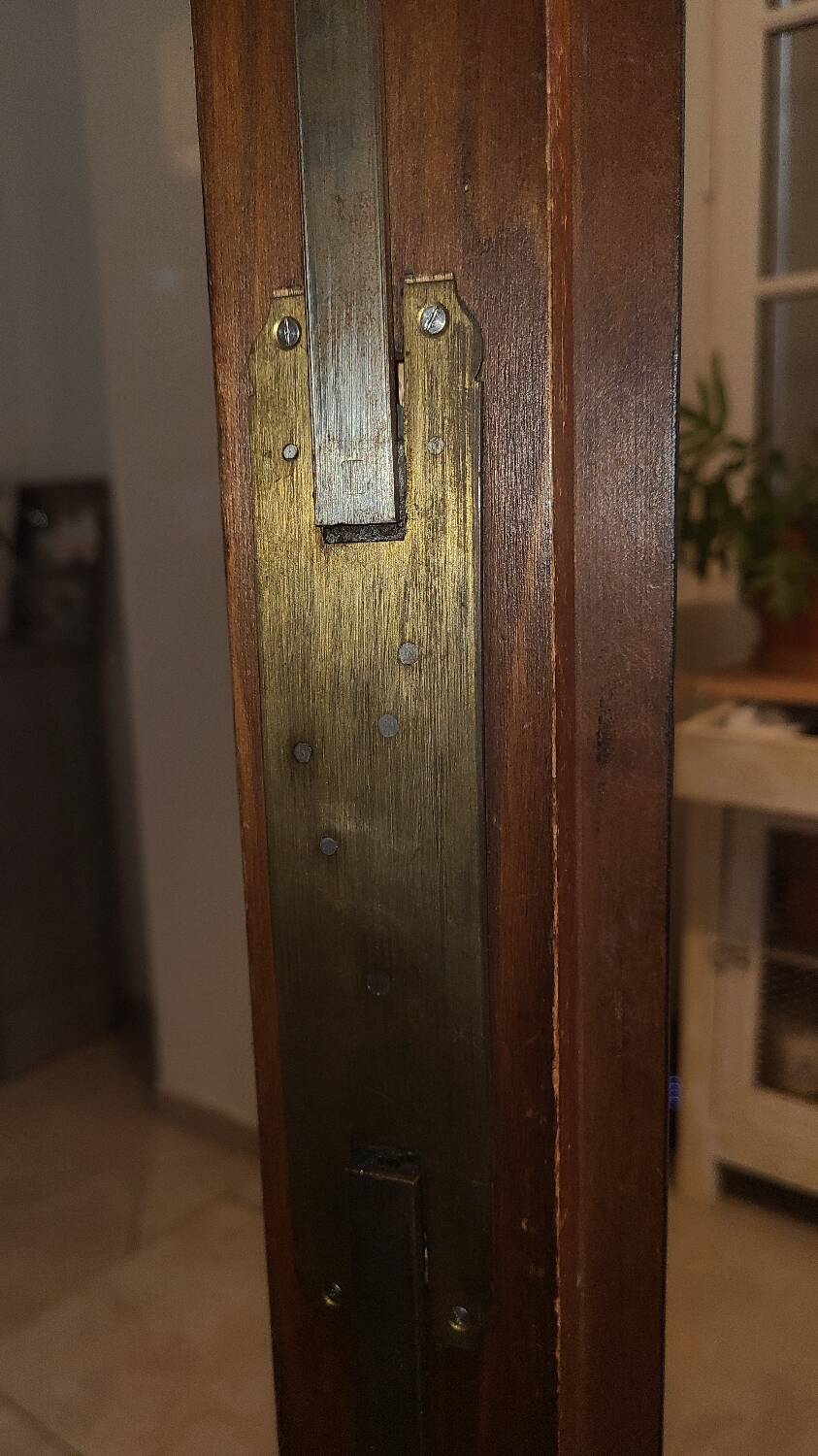 Old black Napoleon III display case, dresser, cabinet of curiosities, storage unit