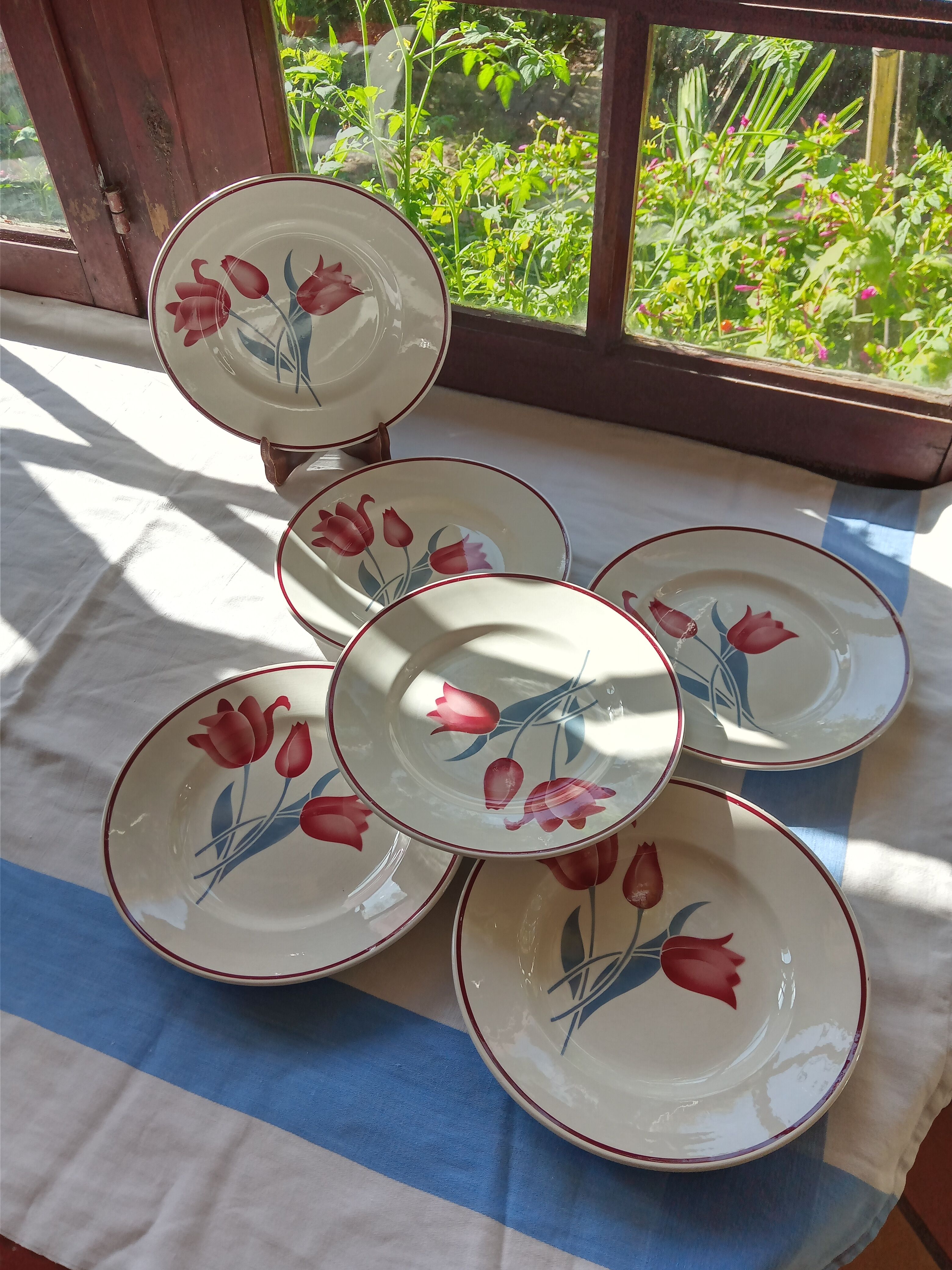 6 Terre de Fer flat plates