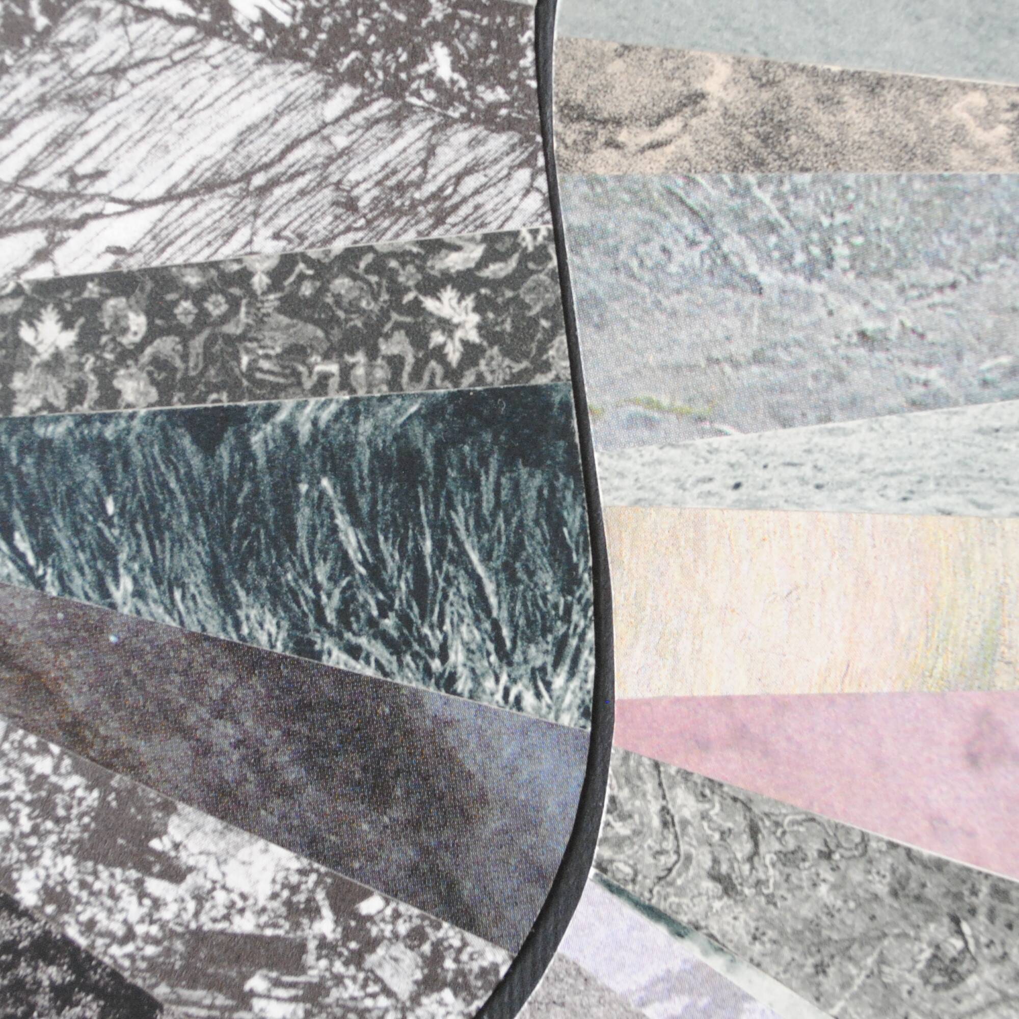 Collage on paper • symbiose