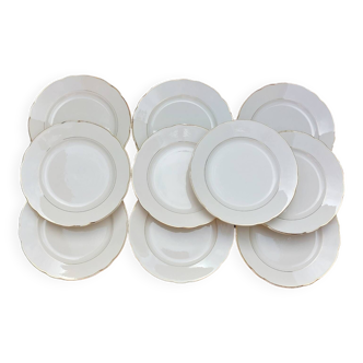 10 Villeroy & Boch dinner plates