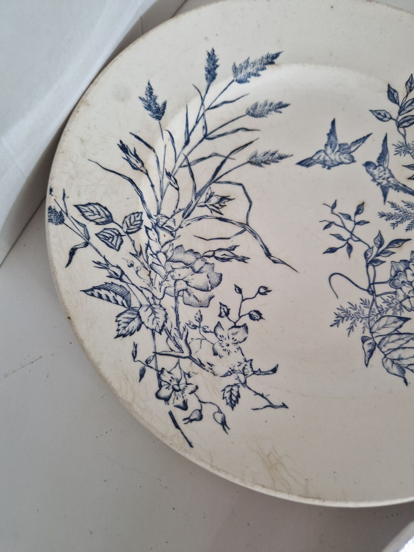 Lot De 9 Assiettes Plates Terre De Fer