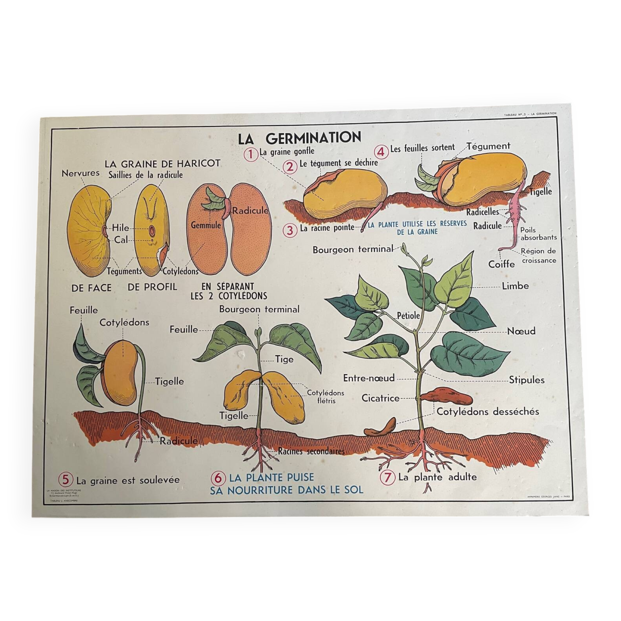 Old school educational poster, school
