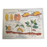 Old school educational poster, school