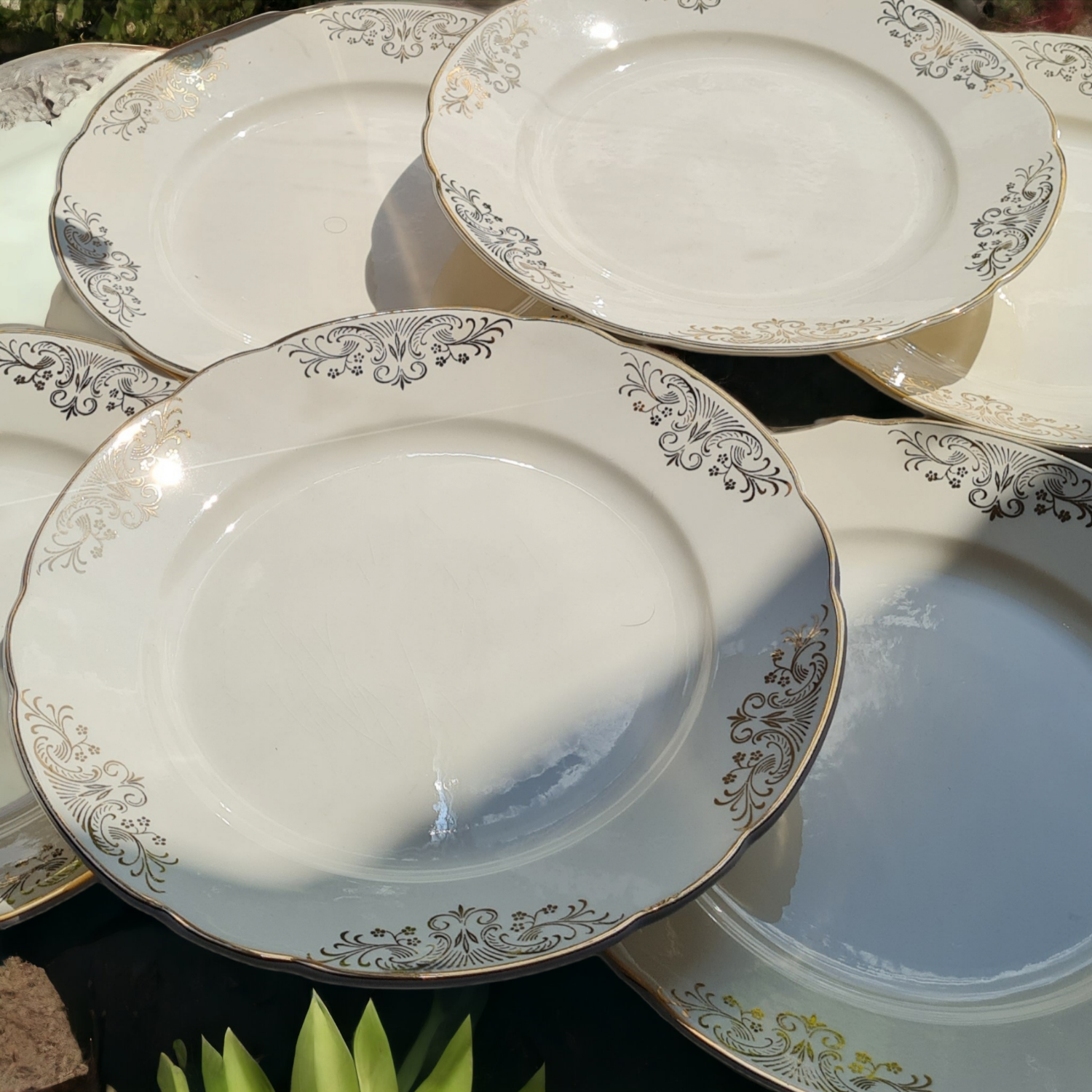 Set of 6 flat plates villeroy and boch