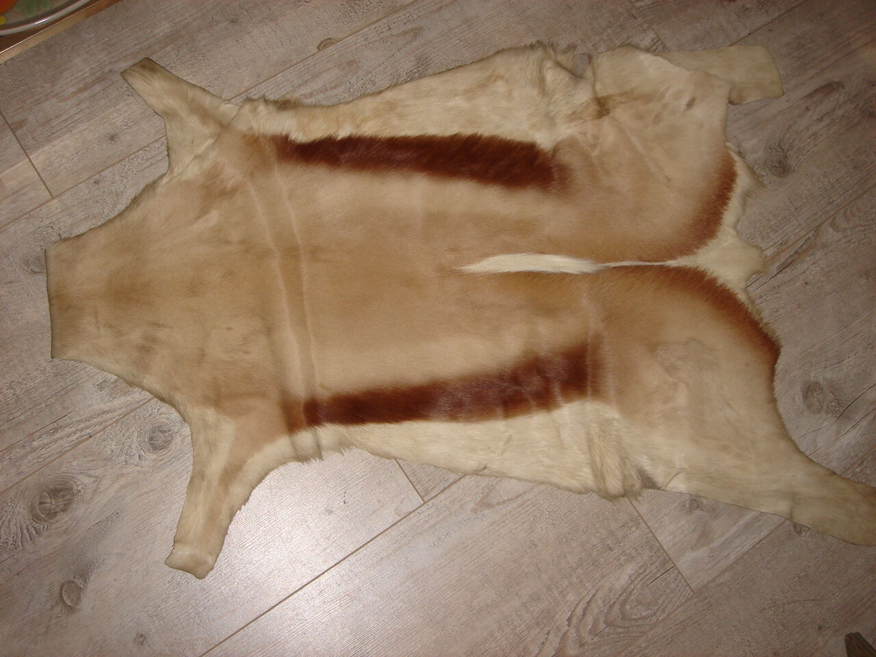 Beautiful descent of bed in skin of goat or impala  70x100cm