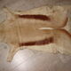 Beautiful descent of bed in skin of goat or impala  70x100cm