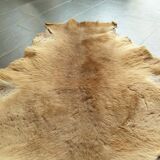 Kangaroo skin
