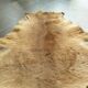 Kangaroo skin