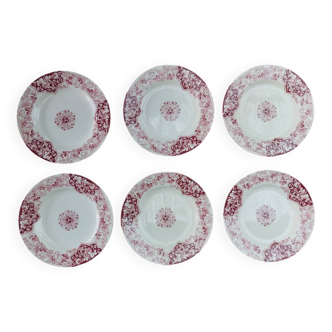 Lot de 6 assiettes art nouveau KG Lunéville rose modèle Lierre Écusson