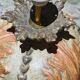 Neoclassical Urn Lamp Roche Bobois - Vintage 70s - Refurbished