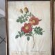 Duo of lithographs JP Redouté Rosier Eglantier red and yellow