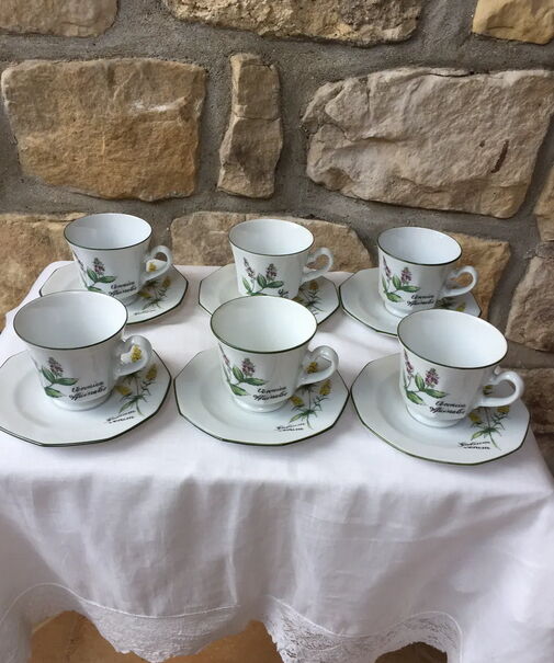 Baviere Winterling fine porcelain service or coffee