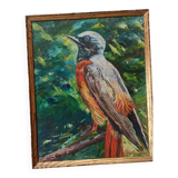 Oil on canvas red-tail bird, m. rosem gispert, spain colirrojo real
