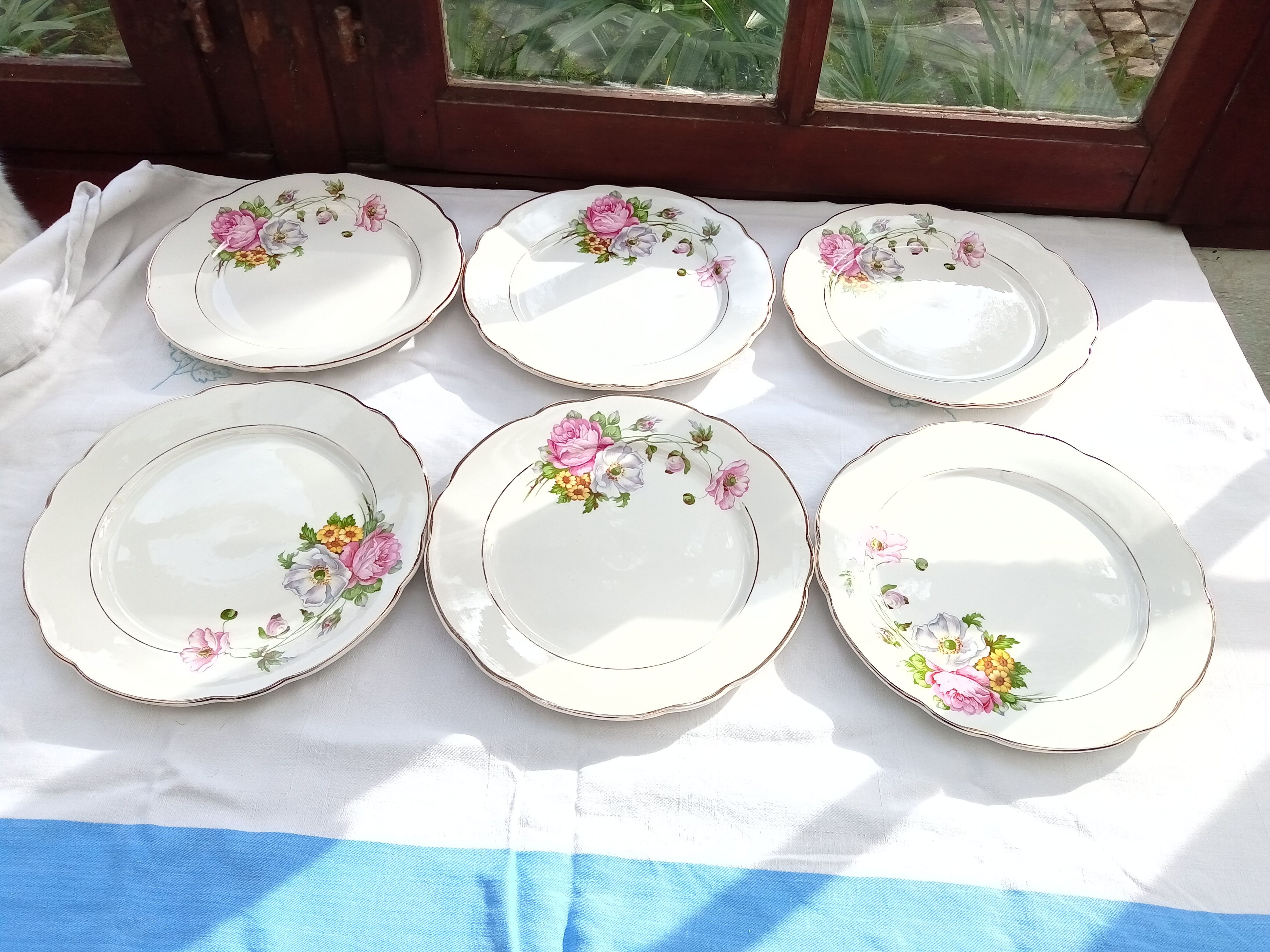 Set of 6 flat plates Digoin