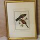 Cadre oiseaux